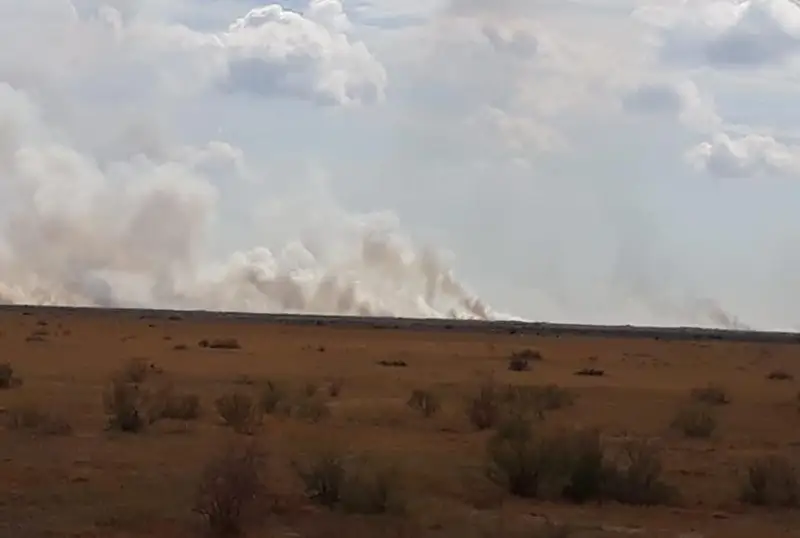 Пожар продолжается на 6 га побережья Каспия в Атырау