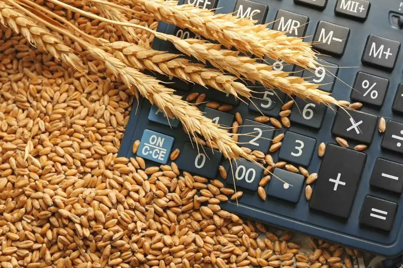 Рост объема валовой сельхозпродукции ожидается в Актюбинской области