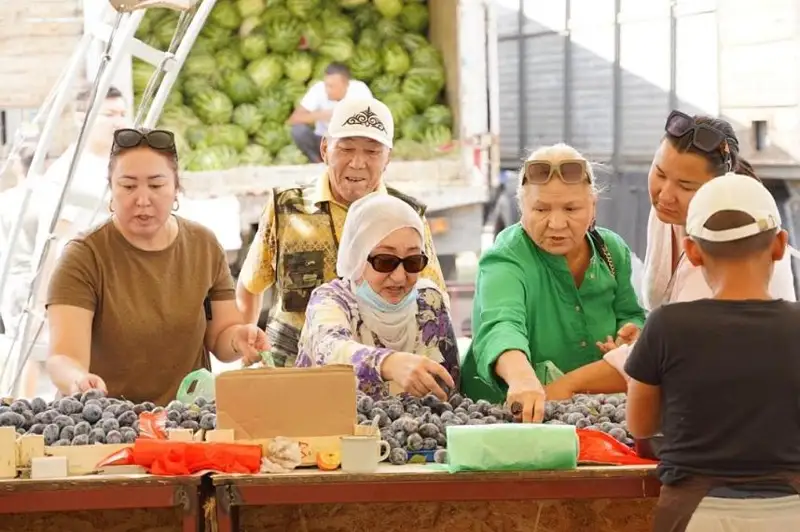 Жамбылская область представит свою продукцию на сельскохозярмарке в Нур-Султане