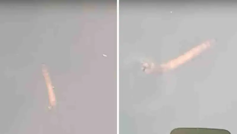 الماتى تۇرعىنى وزەندە ءجۇزىپ جۇرگەن ءبىرتۇرلى جاراتىلىستى ۆيدەوعا ءتۇسىرىپ الدى