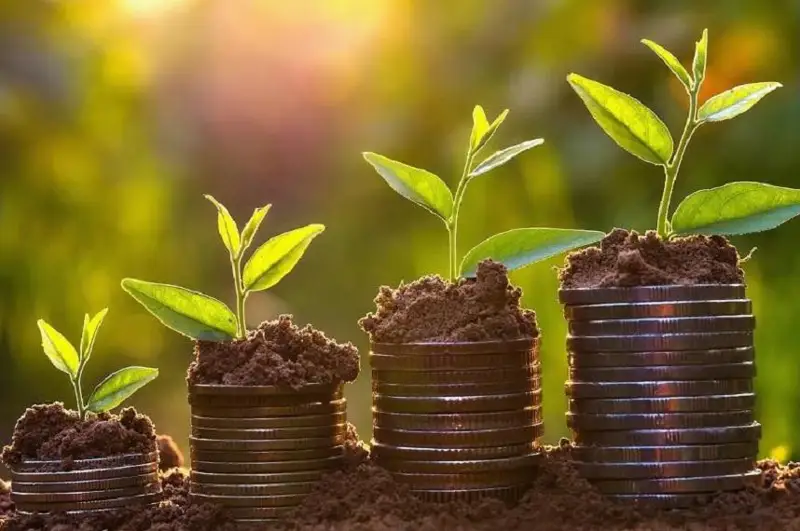 Agrosaqtandyrý syıaqylaryn sýbsıdııalaý 50% -dan 80%-ǵa deıin artady