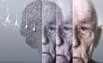 عالىمدار جۇيكەنى تەز توزدىراتىن قىزمەتتى اتادى