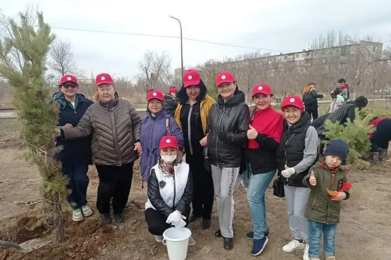 Сосны и клёны посадили в парке Жезказгана