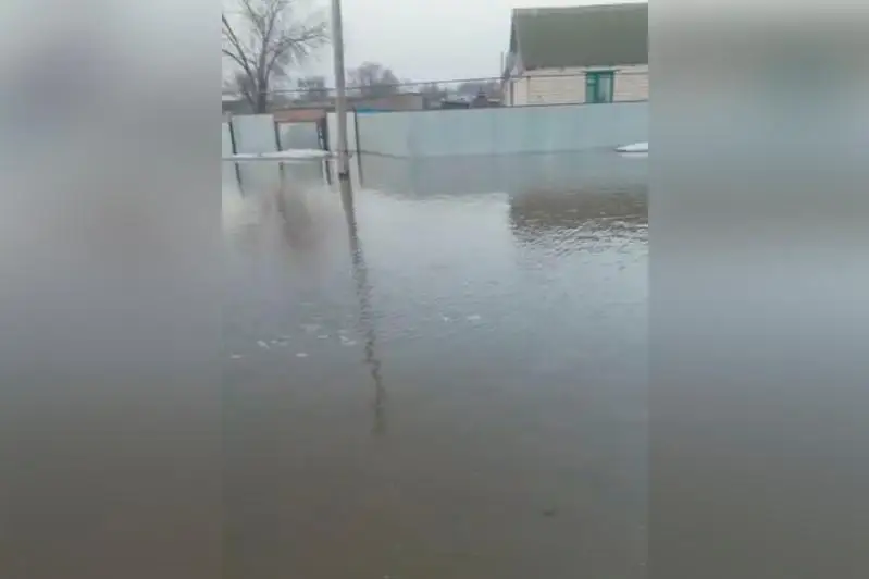 Batys Qazaqstan oblysynda sý tasqyny saldarynan 108 bas mal qyryldy