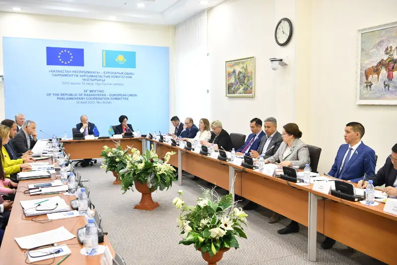 Сенаторы обсудили с европейскими коллегами реформы в политической системе РК