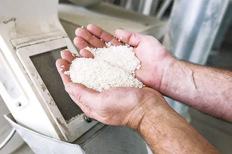 قازاقستاندا كۇرىش ءوندىرىسى ەكى ەسە ءوستى - ا ش م