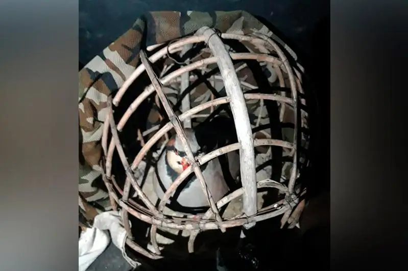 Ловцов кекликов задержали жамбылские полицейские