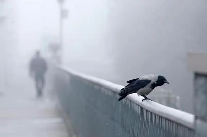 В 11 городах Казахстана ожидаются неблагоприятные метеоусловия