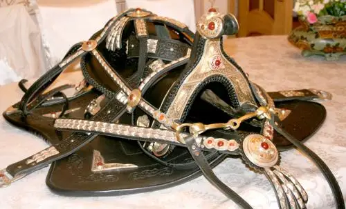 قۇنانبايدىڭ ەر تۇرمانى مەن شاپانى قىتاي مۇراجايىندا ساقتاۋلى