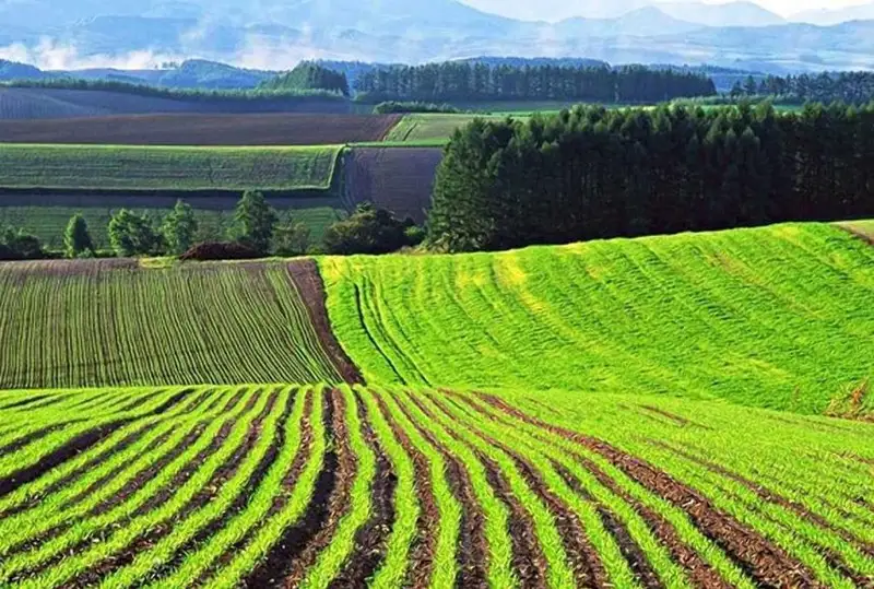 Цифровая платформа «JerInSpectr» поможет вернуть государству до 5 млн га сельхозземель