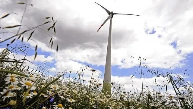 Три ветроэлектростанции возводят в Жамбылской области