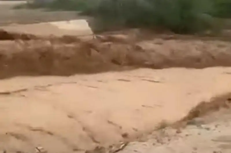 Сель сошел в ущелье Левый Талгар