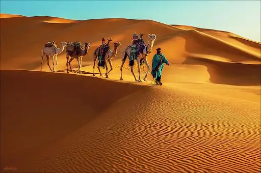 ساحارا قۇمىنىڭ استىنان تابىلعان 5 ەرەكشە ولجا