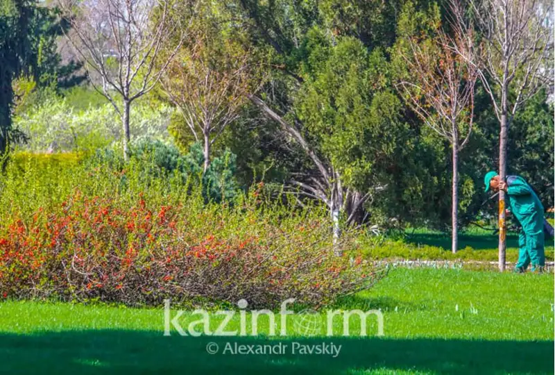 Мы практически потеряли газоны в столице за последние 10 лет - член Общественного совета