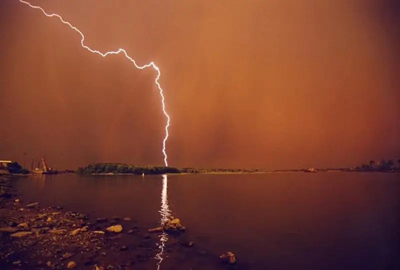 Названы основные причины лесных пожаров в Павлодарской области