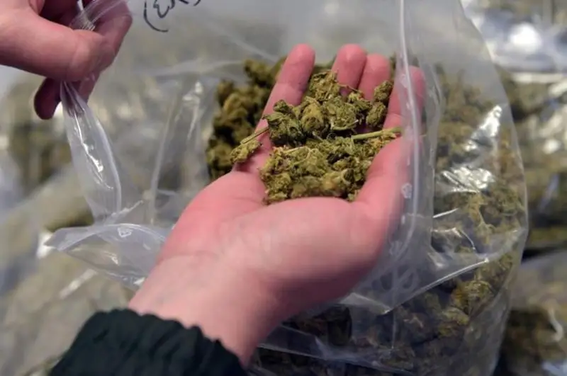 Нарколабораторию обнаружили на дачном участке жителя Актобе