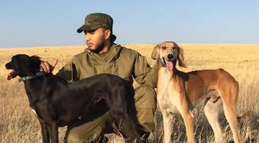 تازىنى پاتەنتتەۋ ءۇشىن 1000 ءيتتىڭ قۇجاتى كەرەك - مامان