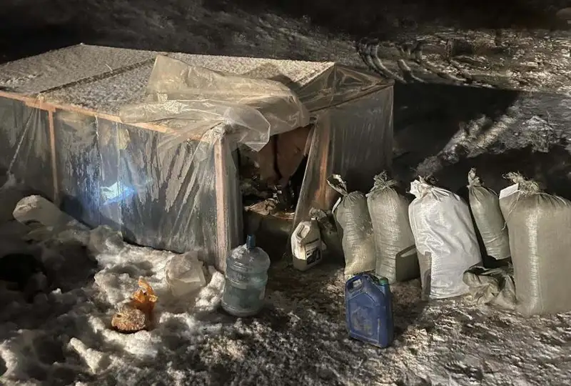 Полицейские изъяли почти полтонны наркотиков в Жамбылской области