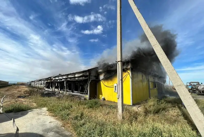 BQO-da qus fabrıkasynda órt shyǵyp, tseh túgeldeı janyp ketti