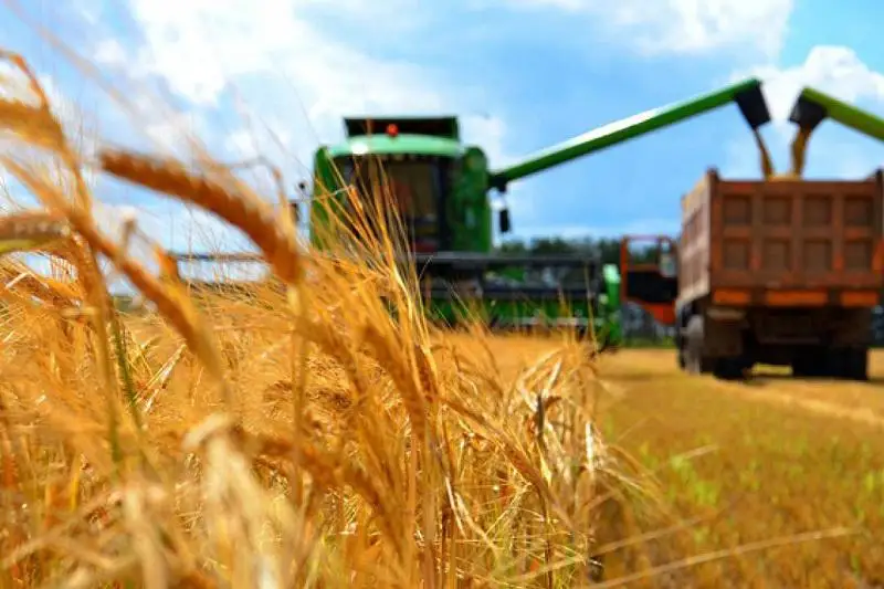 Сельхозпроизводство в Казахстане увеличилось на 3,5%