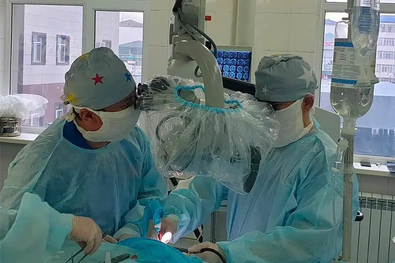 الماتىلىق ورتوحيرۋرگتەر كۇردەلى وتا جاسادى