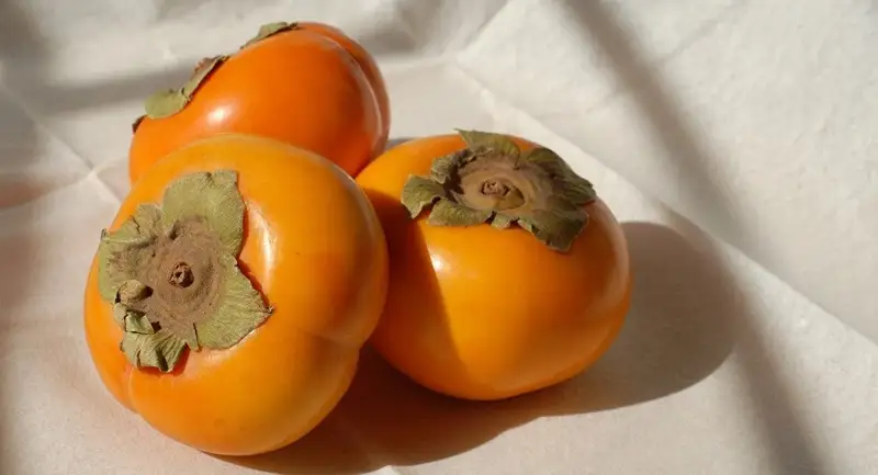 قۇرما قانداي دەرتكە شيپا؟