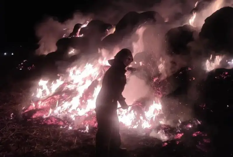 Огнем уничтожено 450 тонн сена в Восточно-Казахстанской области