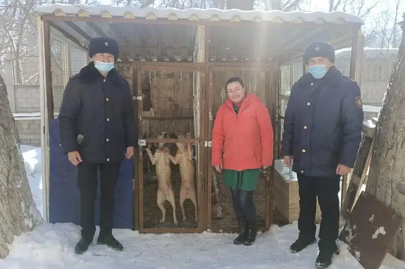 Собаке, которую сбила машина, подарили будку в Караганде