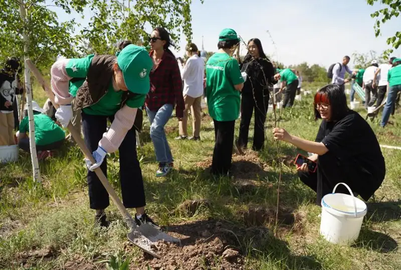 Президентский парк столицы украсили 300 саженцев морозостойкой сакуры