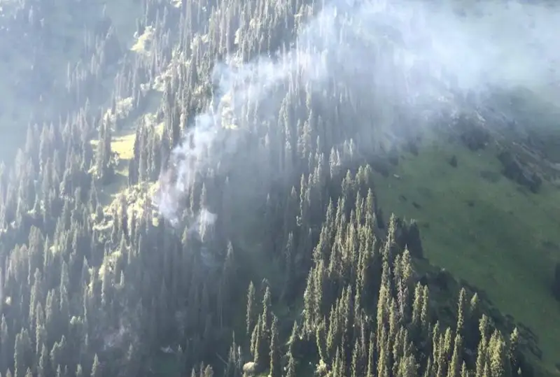 Пожар в горах Алматы тушат при помощи вертолетов