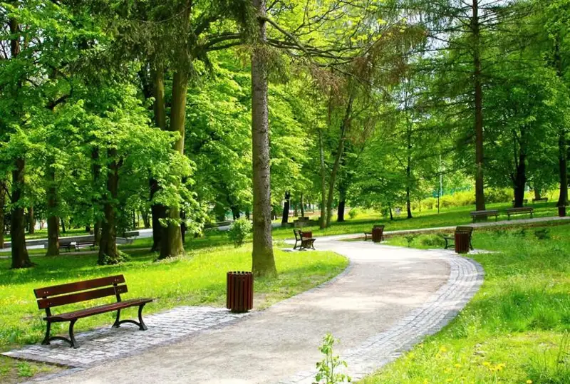 Новый парк появится в Семее