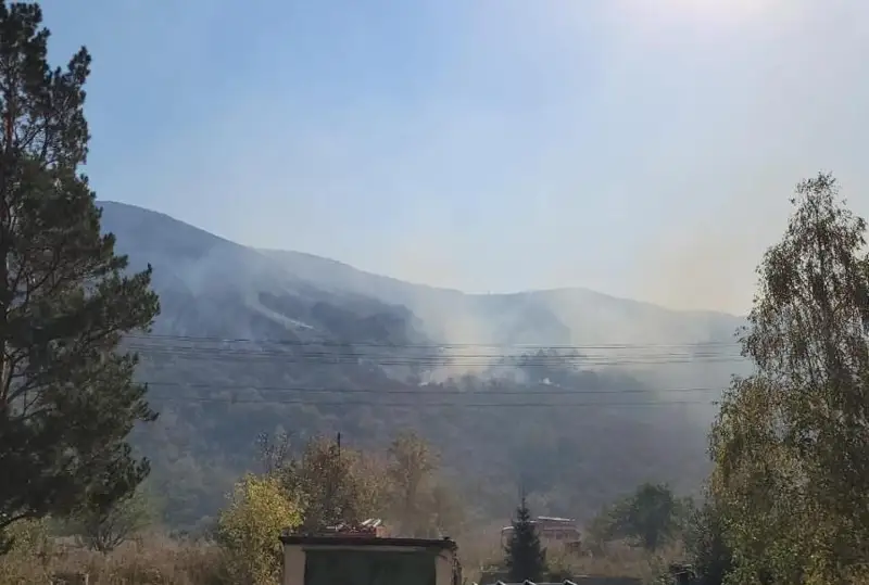 ShQO-da dala órtimen kúreske 200-ge jýyq áskerı qyzmetshi tartyldy