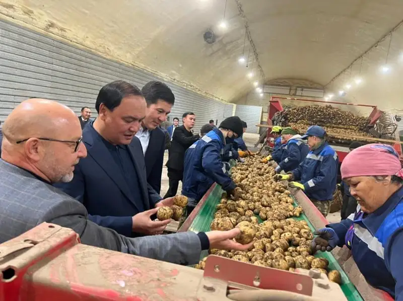 Aýyl sharýashylyǵy: Pavlodar oblysynda 2025 jylǵa deıin 26 ınvestıtsııalyq joba iske qosylmaq