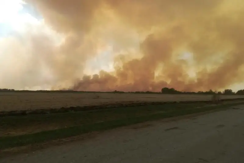 Высокая пожарная опасность сохраняется в Костанайской области