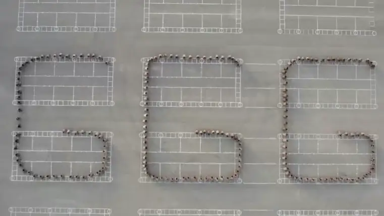 Флешмоб в поддержку Головкина устроили морские пехотинцы