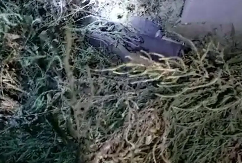 Похищен сейф с оружием в Нур-Султане