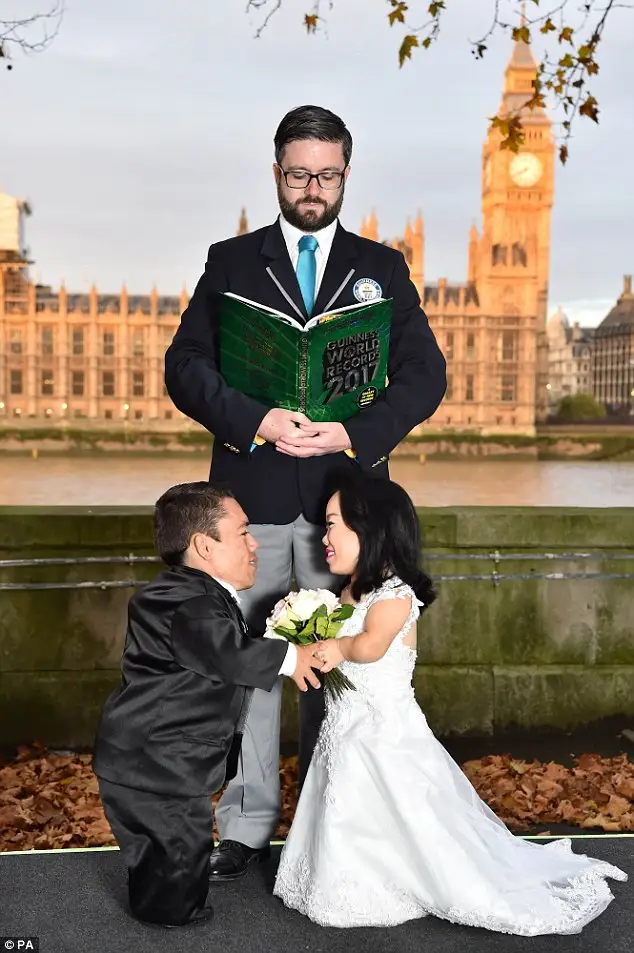 3117