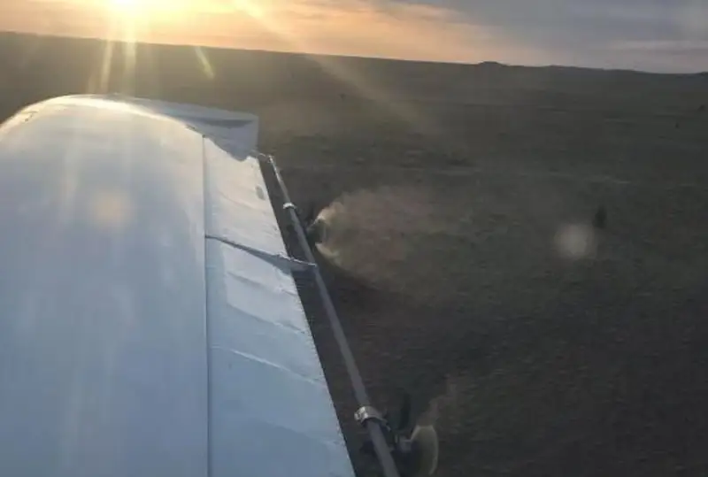 Химическую обработку сельхозугодий провели в четырех районах Карагандинской области