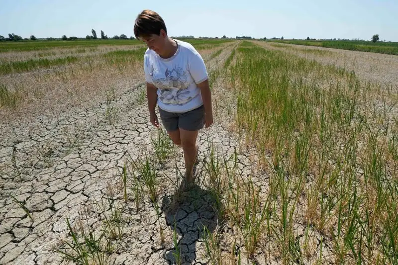 «Красный» уровень угрозы из-за засухи объявили в некоторых странах Европы