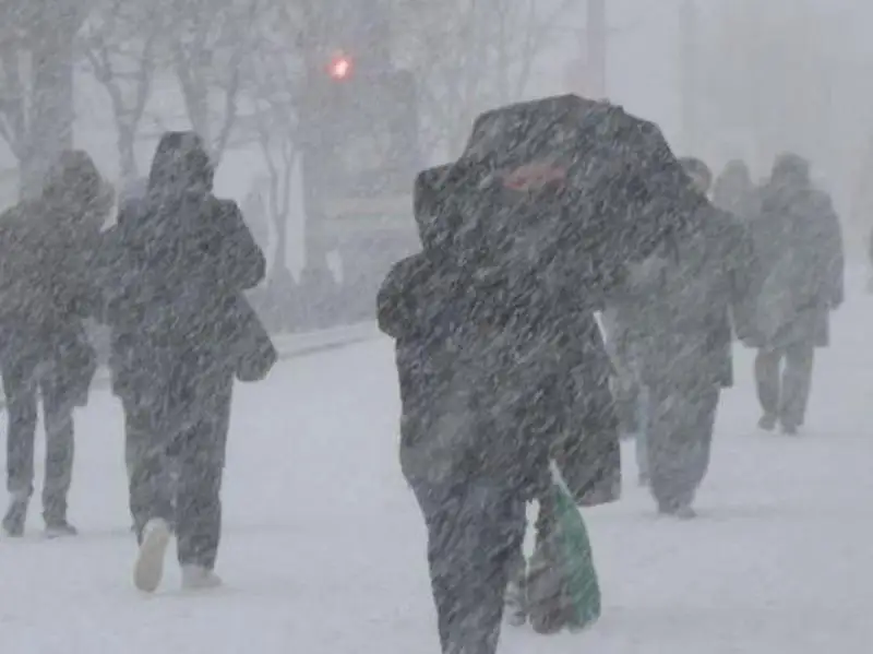 كوكتايعاق، كۇشتى جەل، تۇمان: 24-قاراشاعا ارنالعان اۋا رايى