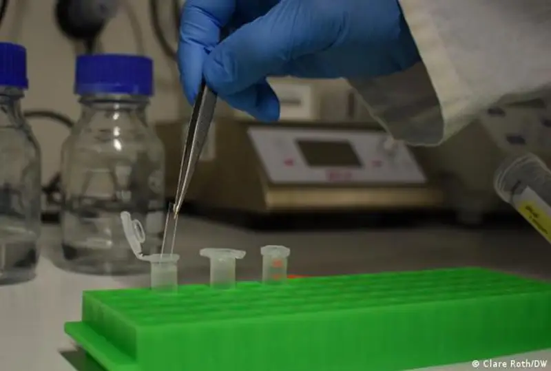 Пластиковая упаковка может быть биоразлагаемой