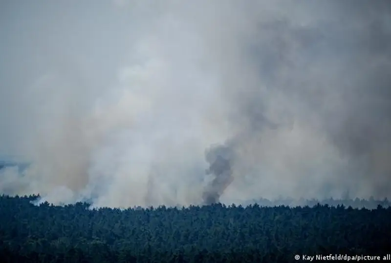 Евросоюз мобилизует 369 спасателей для борьбы с лесными пожарами