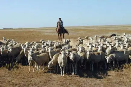 Қаражон жайлауындағы сахара салтанаты - Шетелдегі қазақ тілді БАҚ-қа шолу