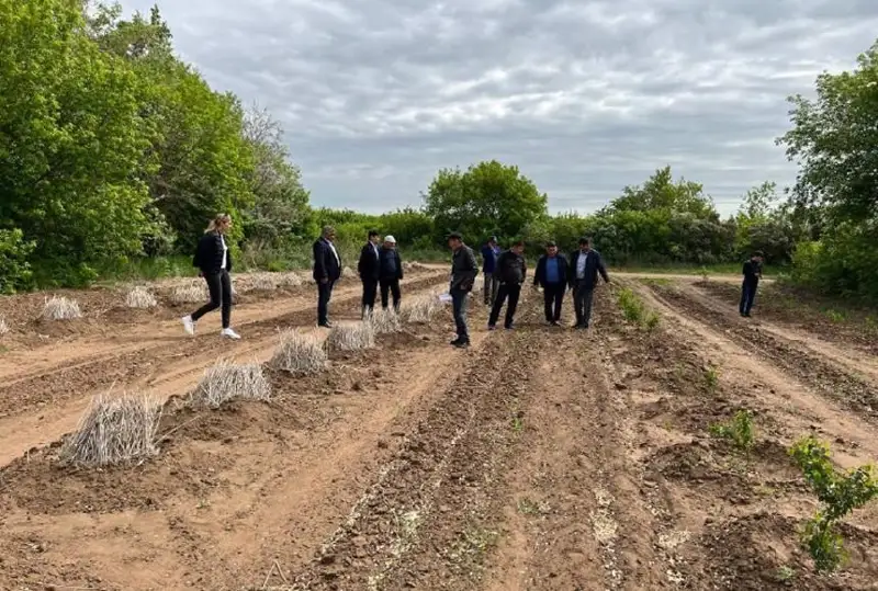 Опытом выращивания леса поделились столичные специалисты с коллегами из Актобе
