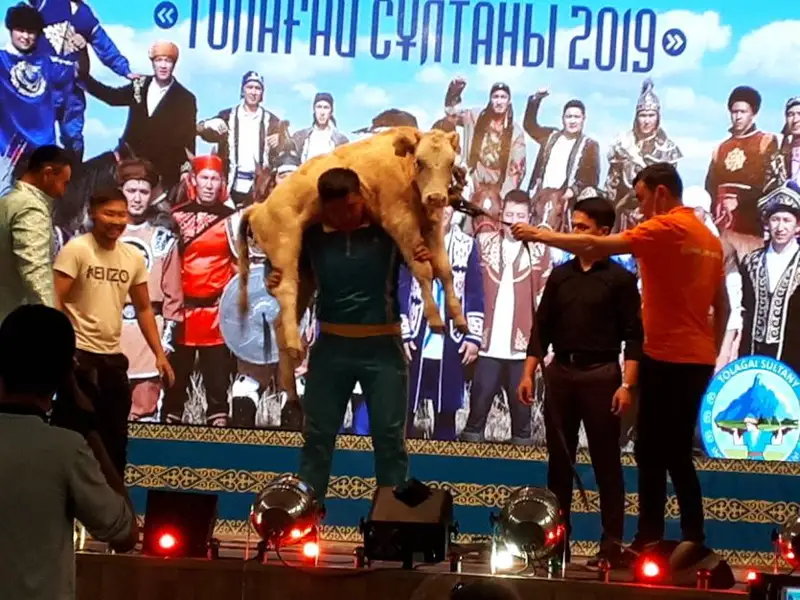 جىگىت سۇلتانى-2019: تۇركىستاندىق بالۋان تايىنشا كوتەرىپ، جۇرتتى تاڭعالدىردى