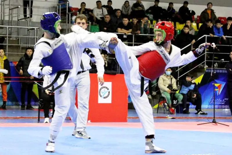 Названы победители чемпионата Казахстана по таеквондо в Актобе