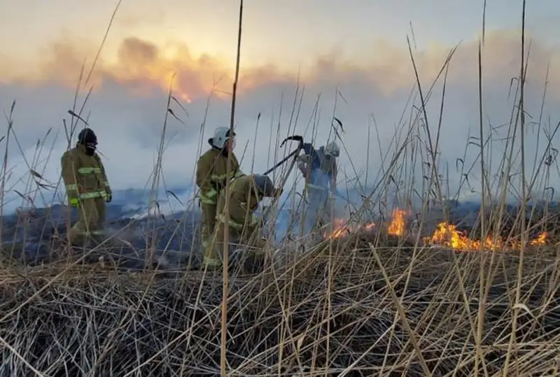 Тушение пожара продолжается на побережье Каспия