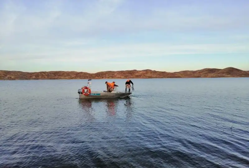 Браконьеров продолжают задерживать в Актюбинской области