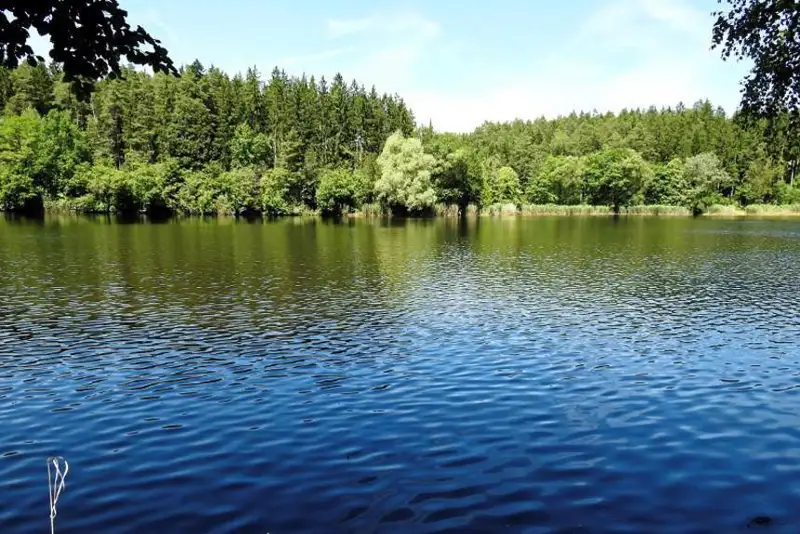 Расчистить рыбоходные каналы и водоемы планируют в Атырауской области