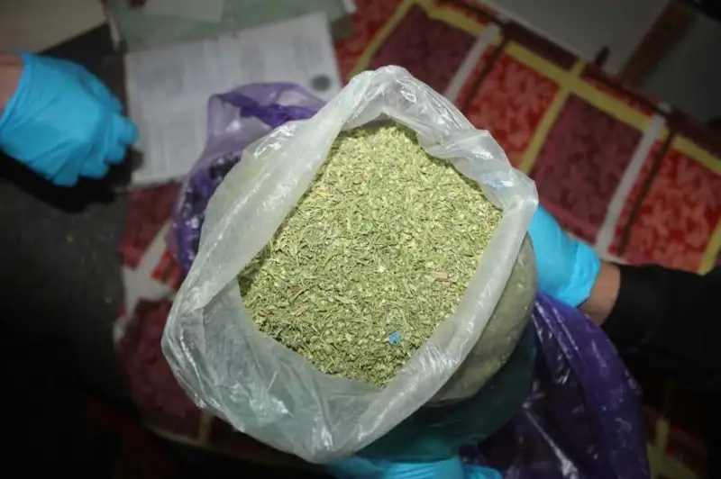 9 кг марихуаны и гашиша изъяли у двух кызылординцев